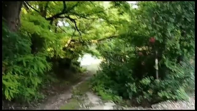 Если день, то только такой!Салат итальянский.Весь день как белка в колесе. смотреть онлайн