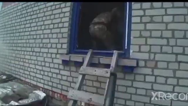 ВЫБИРАЕШЬ ПУТЬ И ИДЁШЬ БЕЗ ОГЛЯДКИ " паша пэл" смотреть онлайн