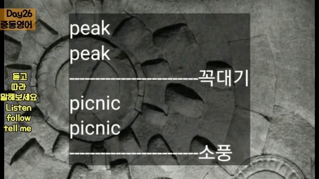 Day31 중학교 영어공부 / 자면서 듣는 중학 영어단어 210 / 미드 외운 단어 들려요 / 중등영어 / Middle School English Study