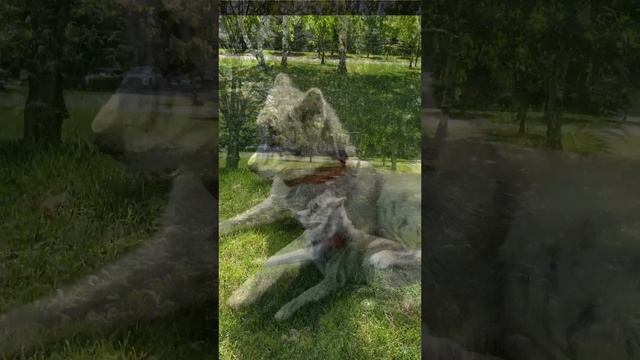 Отдыхаем на релаксе смотреть онлайн