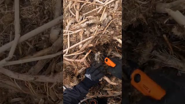 1 Million dollars find will goes to the museum смотреть онлайн