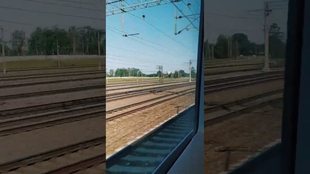 Поезд сапсан пролетает одну из станций Октябрьской ЖД на полной скорости смотреть онлайн