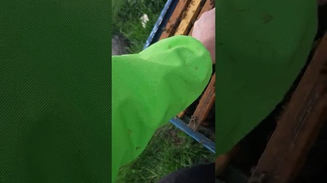 плохая матка😪 смотреть онлайн