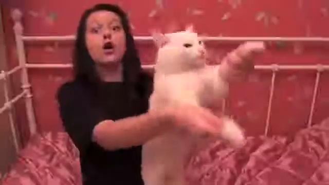 Удаленное видео Кэти Клэп : За что меня ненавидят в школе смотреть онлайн