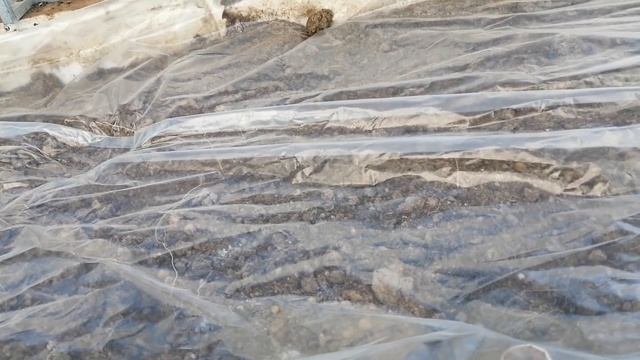 солнечная печь прогрев грядки пленкой 9 марта смотреть онлайн