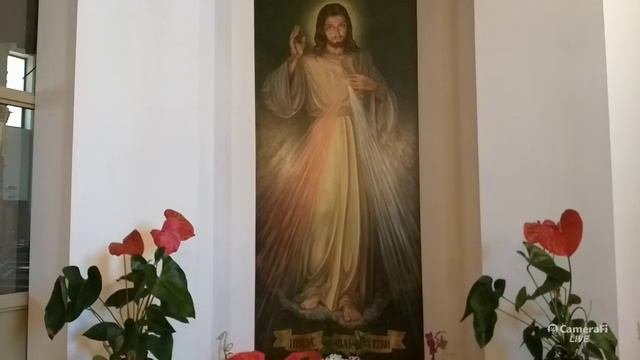 19.04.2020 Октава Пасхи, Воскресенье Милосердия Божия - Венчик Божьему Милосердию 15.00 смотреть онлайн