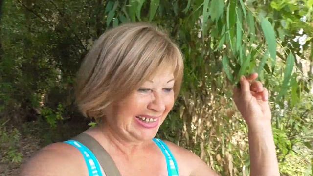 Израиль. Озеро Кинерет. Субботний отдых с семьёй. смотреть онлайн