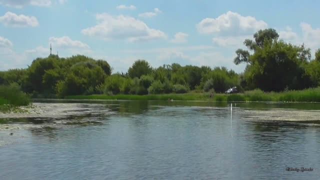 На реке Воронеж. смотреть онлайн