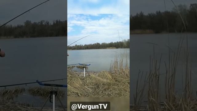 Рыбак растет 2 #рыбалка #fishing #fish #рыбалка_в_каменском #весенний_клев смотреть онлайн