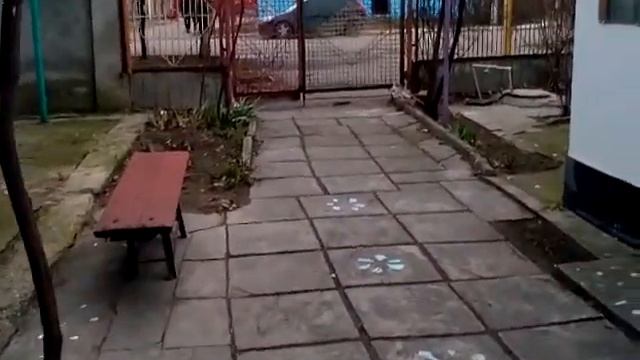 Веганские Рецепты