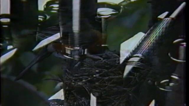 Pentax LX & ME Super TV Commercial Shutan Camera 1982 смотреть онлайн