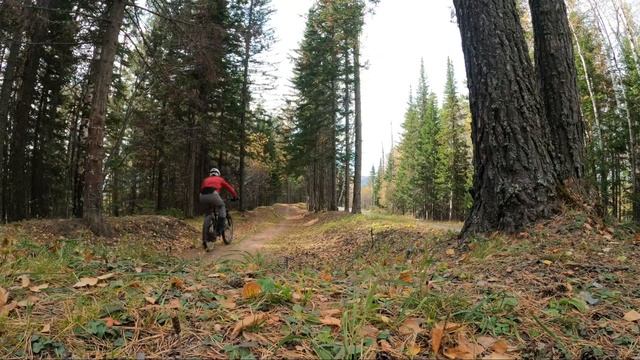 Разгонка парковых трасс байк-парка "Белка в колесе" смотреть онлайн