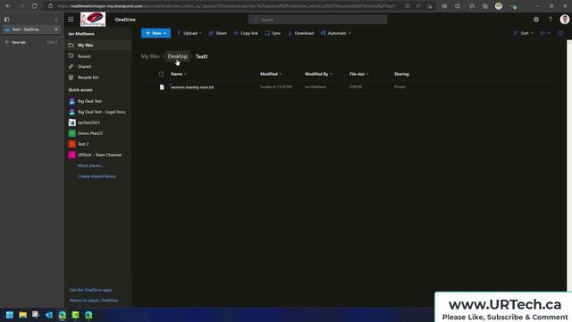 Allow Edits But Not Deletes In OneDrive