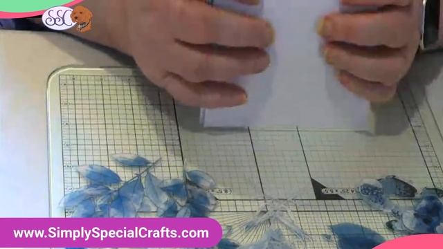 LIVE Stream - 49 and Market - Ocean Card Collection смотреть онлайн