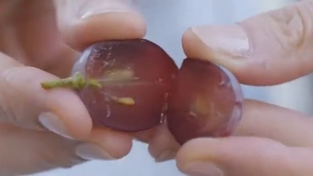caudalie смотреть онлайн