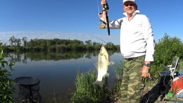 В поисках Рыбных МЕСТ - СЕРИЯ № 2 // Поймали Сома на Фидер смотреть онлайн