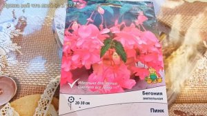 Самые КРАСИВЫЕ цветы для кашпо и вазонов, цветущие всё лето!