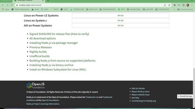 Instalar Node JS em menos de 2 minutos. смотреть онлайн