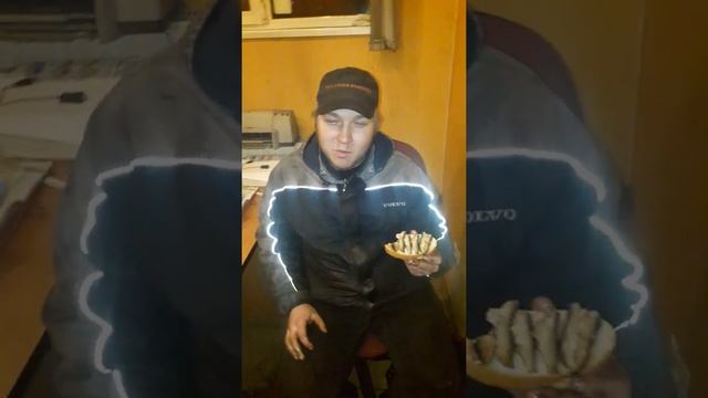 Прикол! Как есть шпроты?! смотреть онлайн