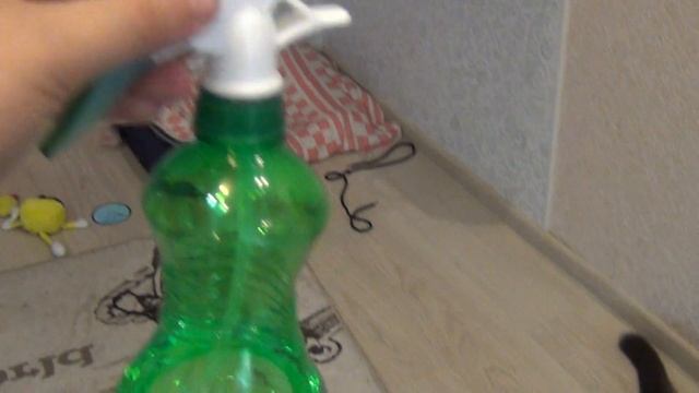 Как отучить кошку кусаться смотреть онлайн