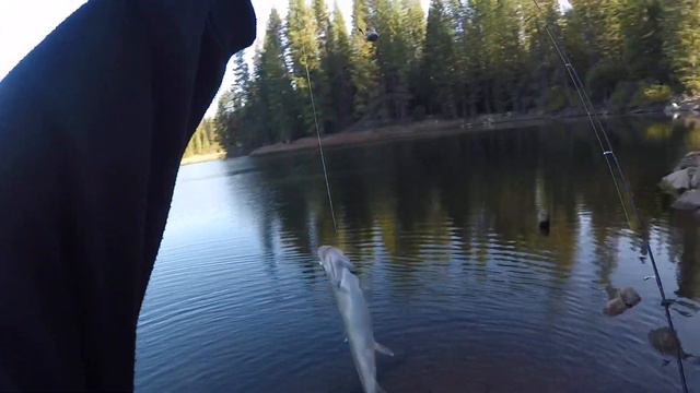 Trout Slaying In The Mountains With IFishFreshNSalty смотреть онлайн