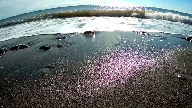 Весёлое, Крым, осень... смотреть онлайн