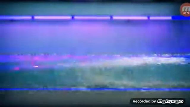 Аквапарк "лебяжий" в Минске смотреть онлайн