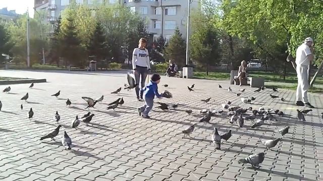 Малыш и голуби смотреть онлайн
