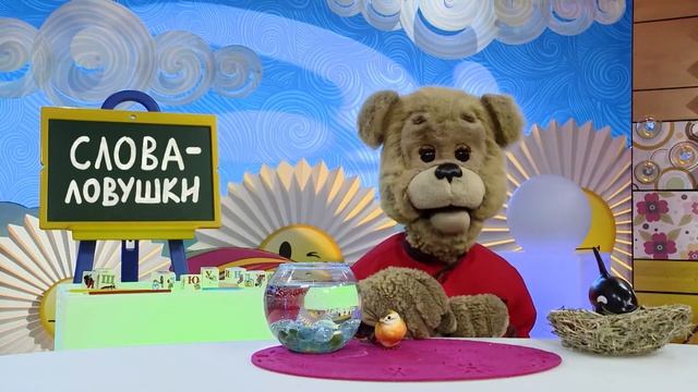КОСАТКА или КАСАТКА - Слова-ловушки - С добрым утром, малыши! смотреть онлайн