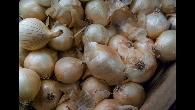 Лук и его воздействие на мочеполовую систему, защита почек смотреть онлайн