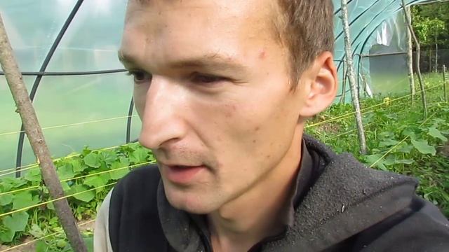 Почему я не делаю капельный полив. Минусы капельного полива смотреть онлайн