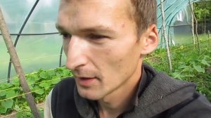 Почему я не делаю капельный полив. Минусы капельного полива