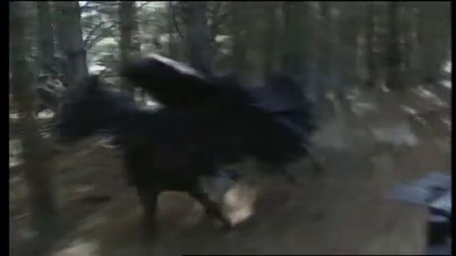 Властелин колец: Братство Кольца ► Предисловие Элайджа Вуда (дополнительные материалы) смотреть онлайн