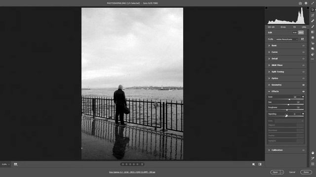 PHOTOSHOP CAMERA RAW 2020 14 EFFECTS PANELİ KULLANIMI смотреть онлайн