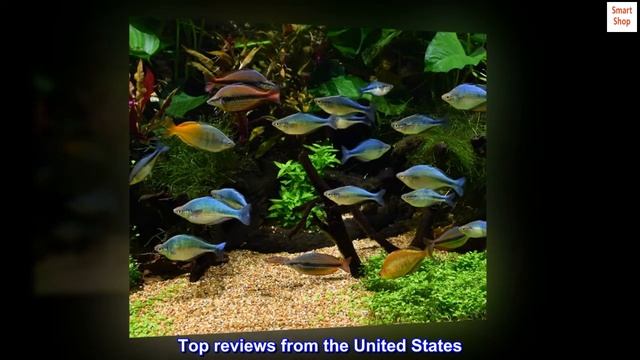 Seachem Equilibrium 300gram смотреть онлайн