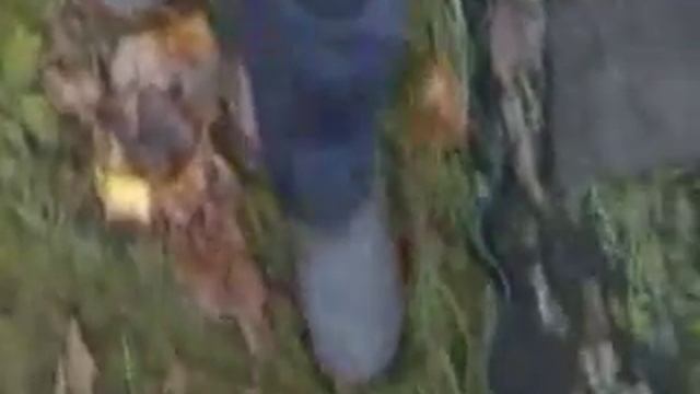 Яснов Михаил Давидович «Осенний дедушка» смотреть онлайн