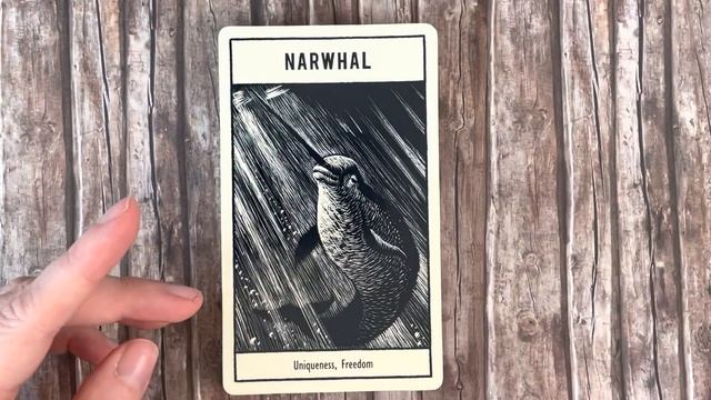 Untamed Spirit Animal Oracle | First impressions walkthrough смотреть онлайн