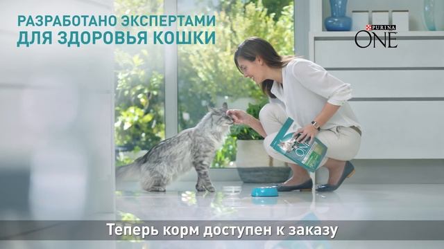 Purina ONE®. С заботой о вашей кошке смотреть онлайн