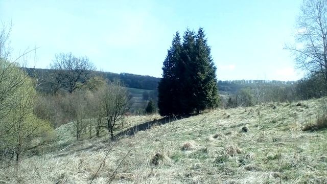 Христианские стихи с очень глубоким смыслом. смотреть онлайн