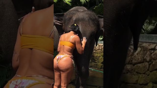 hot and sexy (4) смотреть онлайн