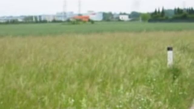 звуки природы-кузнечики смотреть онлайн