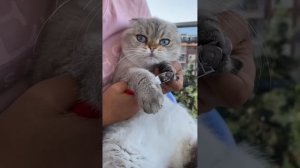 Распаковка , что купили Лелику  ??