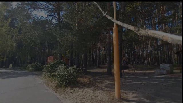 разнообразие мира) смотреть онлайн