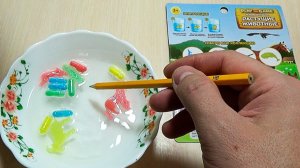 Животные растущие в воде - дешевые игрушки из Фикс Прайс. Развлекательное видео смотреть на рутуб