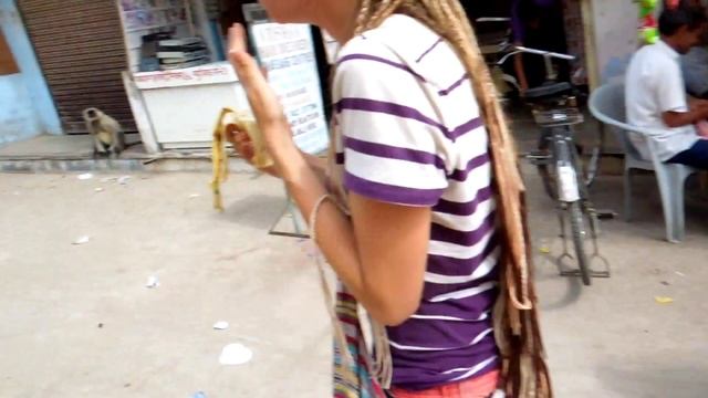 Поездка в Индию: обезьяны воруют бананы смотреть онлайн
