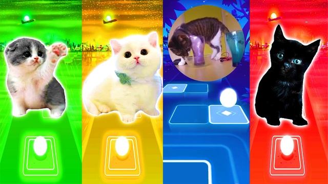 Cute cats | Tiles Hop EDM Rush смотреть онлайн