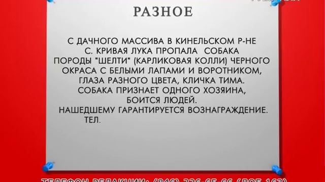 Доска объявлений 24.05.2017 смотреть онлайн