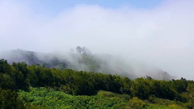 Супер расслабляющая музыка - успокаивающая музыка, успокаивающая нервы и освежающая душу ? смотреть онлайн