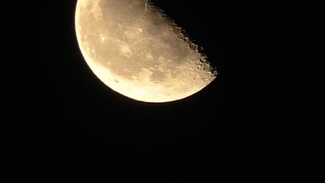 Восход жёлтой луны смотреть онлайн