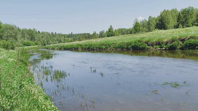 Река Уводь. ч.6. Июнь 2024 смотреть онлайн
